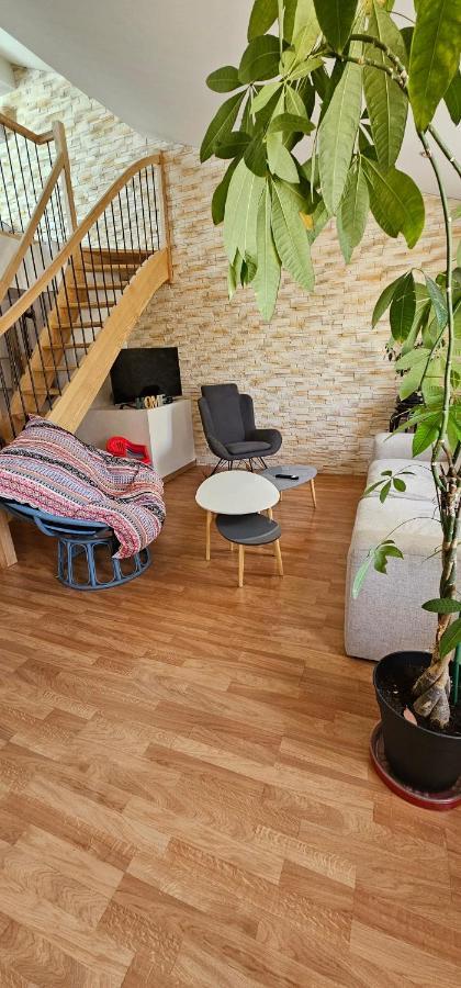 Mialie Duplex Familial Classe 3 Etoiles Le Boulou Eksteriør bilde